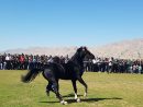 نخستین همایش اسب سواری عرب خوزستان در قلعه تل